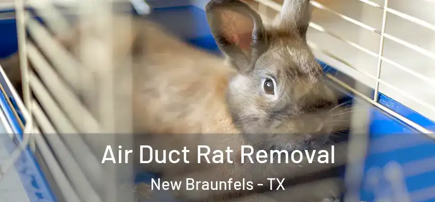  Air Duct Rat Removal New Braunfels - TX
