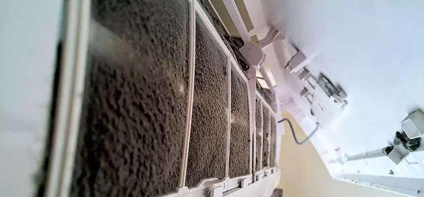 Preventive Air Duct Bacteria Removal in New Braunfels