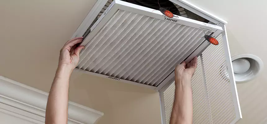 Preventive Cockroach-Proofing for Ducts in New Braunfels