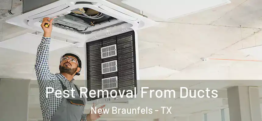  Pest Removal From Ducts New Braunfels - TX