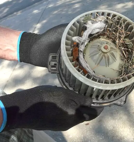 About Air Duct Rat Removal in New Braunfels, TX