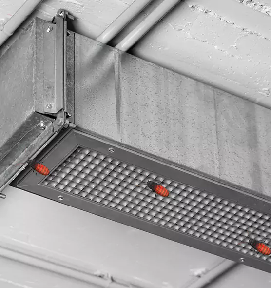 Affordable Insect Removal from Air Ducts in New Braunfels, TX