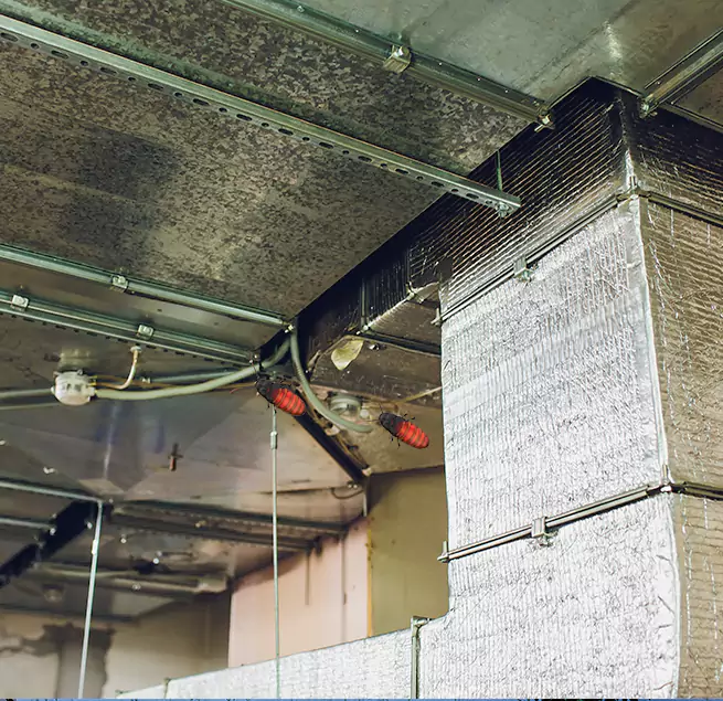 Why Homeowners & Businesses Trust Us in New Braunfels, TX?