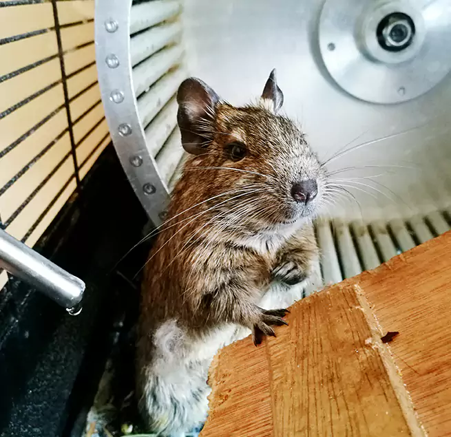 Why Homeowners & Businesses Trust Us New Braunfels, TX