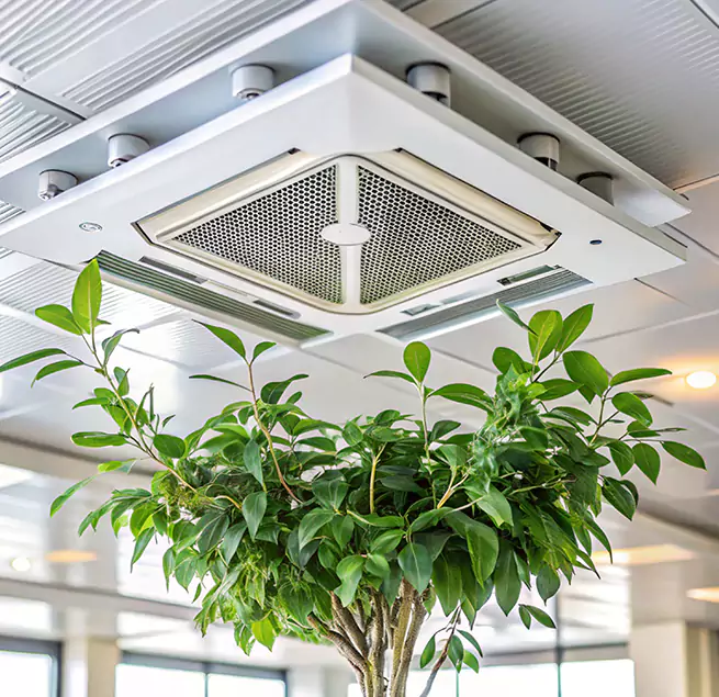 Why Homeowners & Businesses Trust Us in New Braunfels, TX?