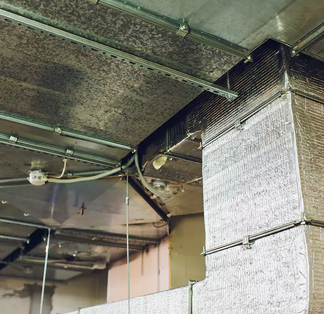 Why Homeowners & Businesses Trust Us in New Braunfels, TX?